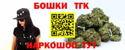 альфа пвп Новодвинск
